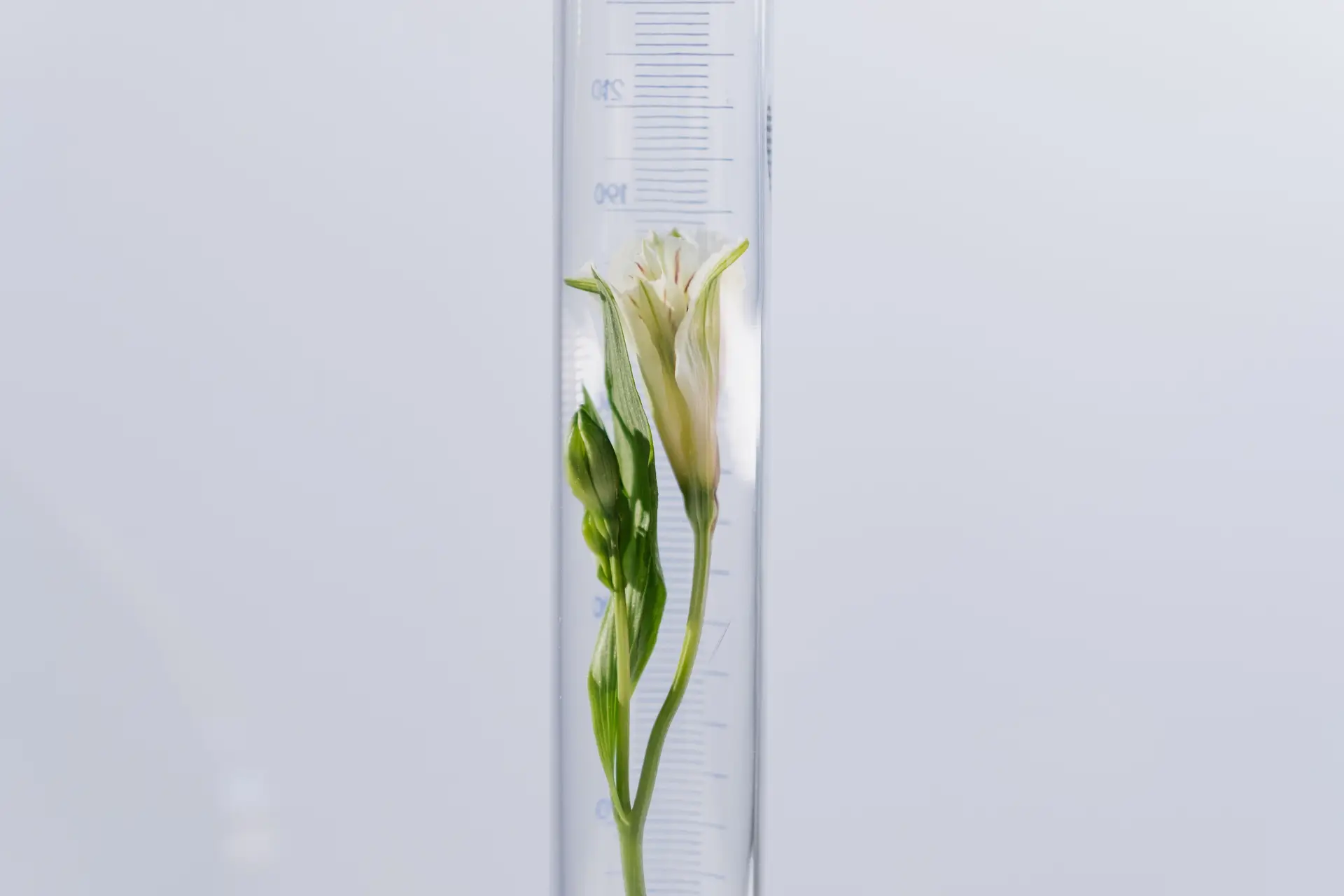 Botanical Research Laboratory