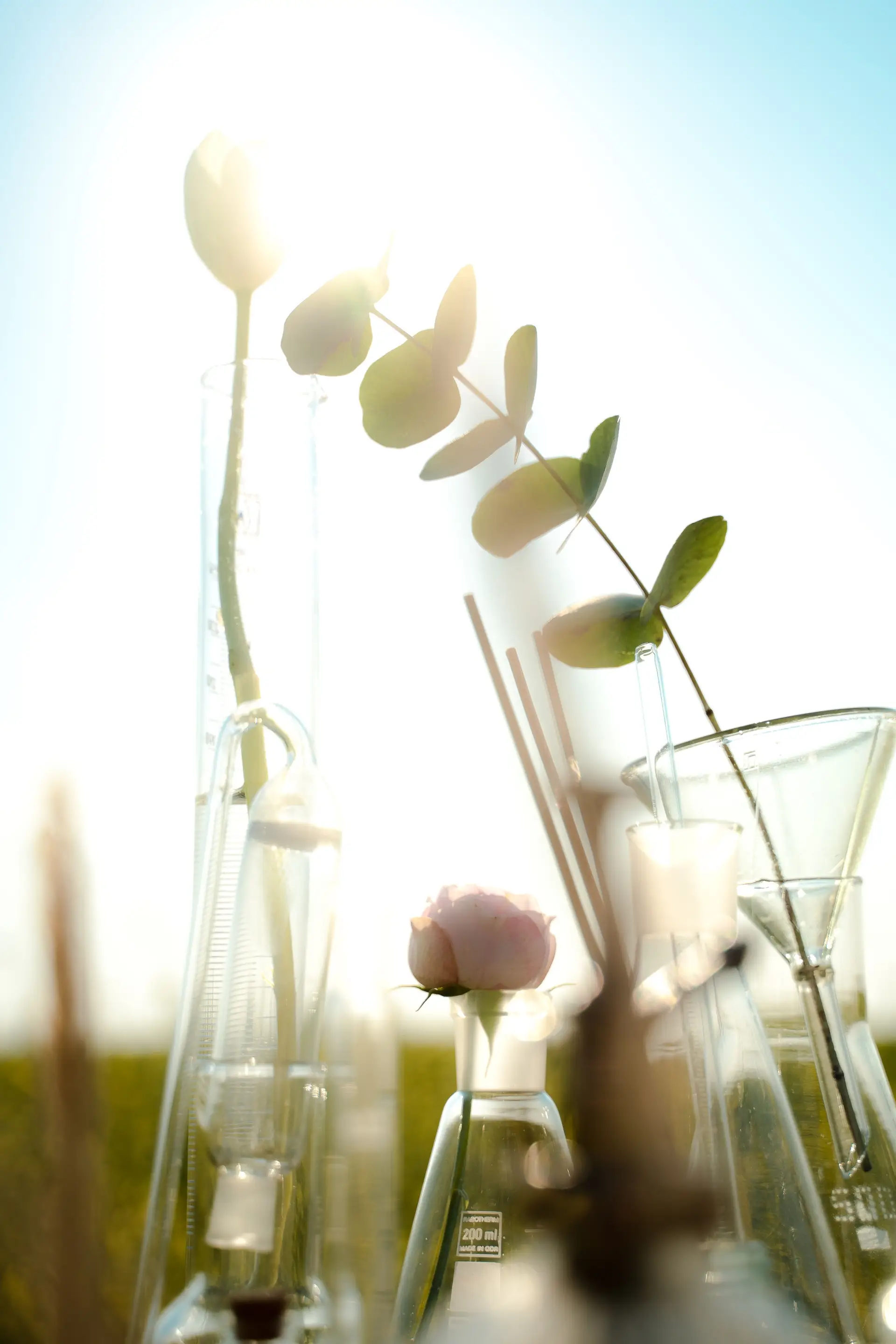 Botanical laboratory innovation background